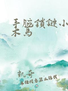 手腕锁链小黑屋木马