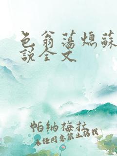 色翁荡熄苏钥小说全文