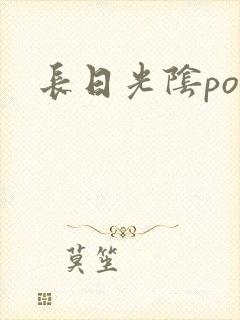 长日光阴po