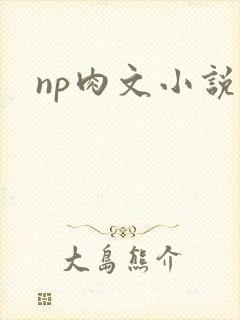np肉文小说