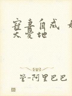 宠妻自成  婚天爱地