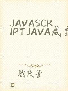JAVASCRIPTJAVA成熟亲子