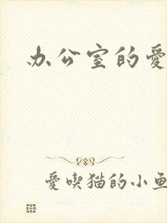 办公室的爱与恨