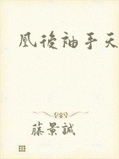 凰后袖手天下