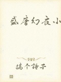 盛唐幻夜小说