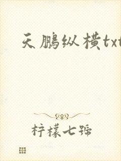 天鹏纵横txt
