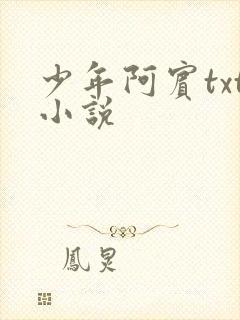 少年阿宾txt小说