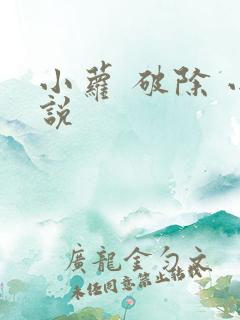 小萝 破除 小说