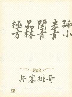 极品开光师李南方林青青小说叫