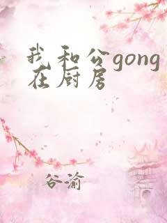 我和公gong在厨房