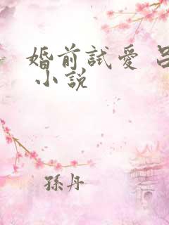 婚前试爱 吕颜 小说