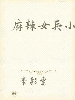 麻辣女兵小说版