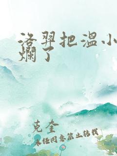 洛羿把温小辉做烂了