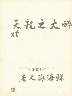 天龙之大醉侠txt