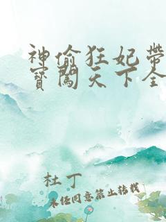 神偷狂妃带着宝宝闯天下全文免费阅读