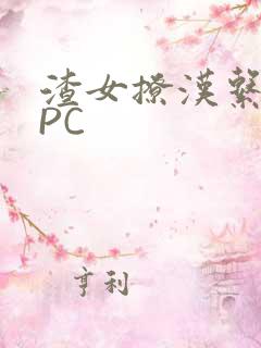 渣女撩汉系统NPC