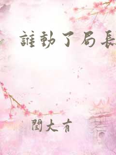 谁动了局长夫人