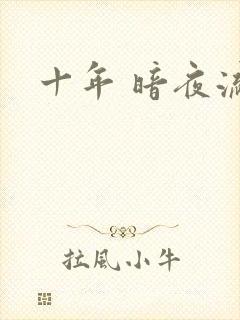 十年 暗夜流光