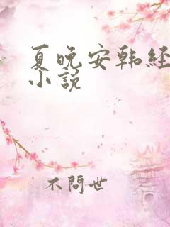 夏晚安韩经年的小说