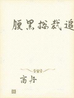 腹黑总裁追娇妻