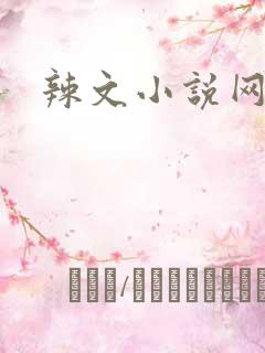 辣文小说网
