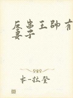 反串王帅有几任妻子