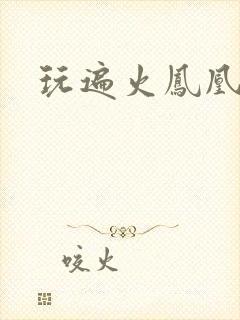 玩遍火凤凰队员