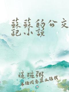 苏苏的公交车日记小说