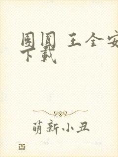 团圆 王全安 下载