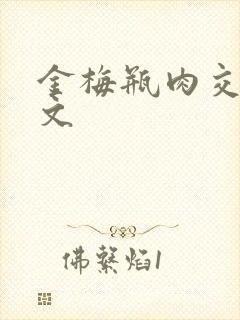 金梅瓶肉交白话文