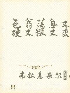 色翁荡息又大又硬又粗又爽电影