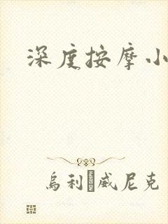 深度按摩小说