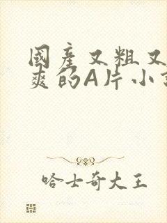 国产又粗又黄又爽的A片小说