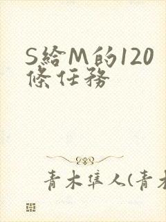 S给M的120条任务