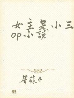 女主是小三的pop小说