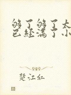 够了够了太多了已经满了小说