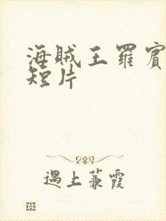 海贼王罗宾被h短片