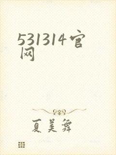 531314官网