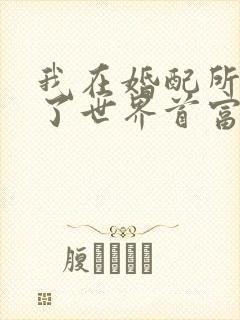 我在婚配所摇到了世界首富小说