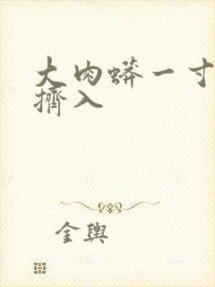 大肉蟒一寸一寸挤入