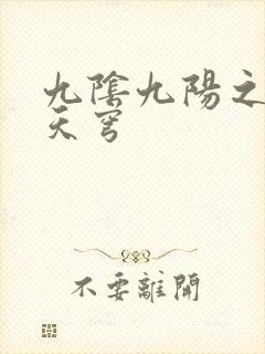 九阴九阳之武战天穹