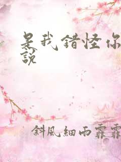 是我错怪你了小说