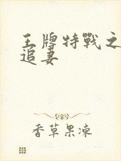 王牌特战之军少追妻