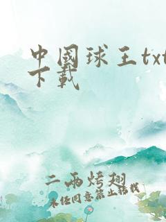中国球王txt下载