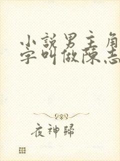 小说男主角的名字叫做陈志远