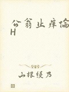 公翁止痒伦理DH