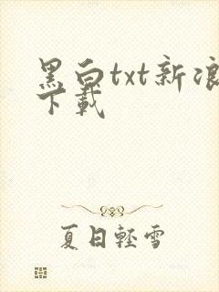 黑白txt新浪下载