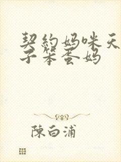 契约妈咪天才儿子笨蛋妈