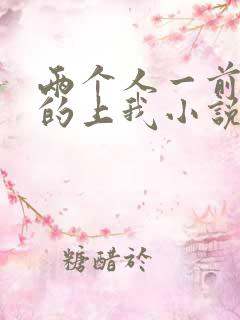 两个人一前一后的上我小说