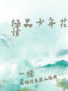 极品少年花都燃情